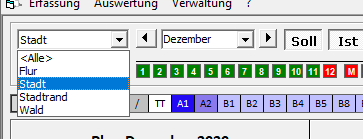 Soll-Ist Plan
